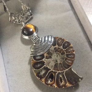NEW Beautiful tigers eye & Fossil Ammonite Chakra (Chain not included).